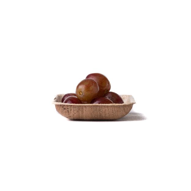 3" Square Mini Plates - 25 Pack - Naturally Chic